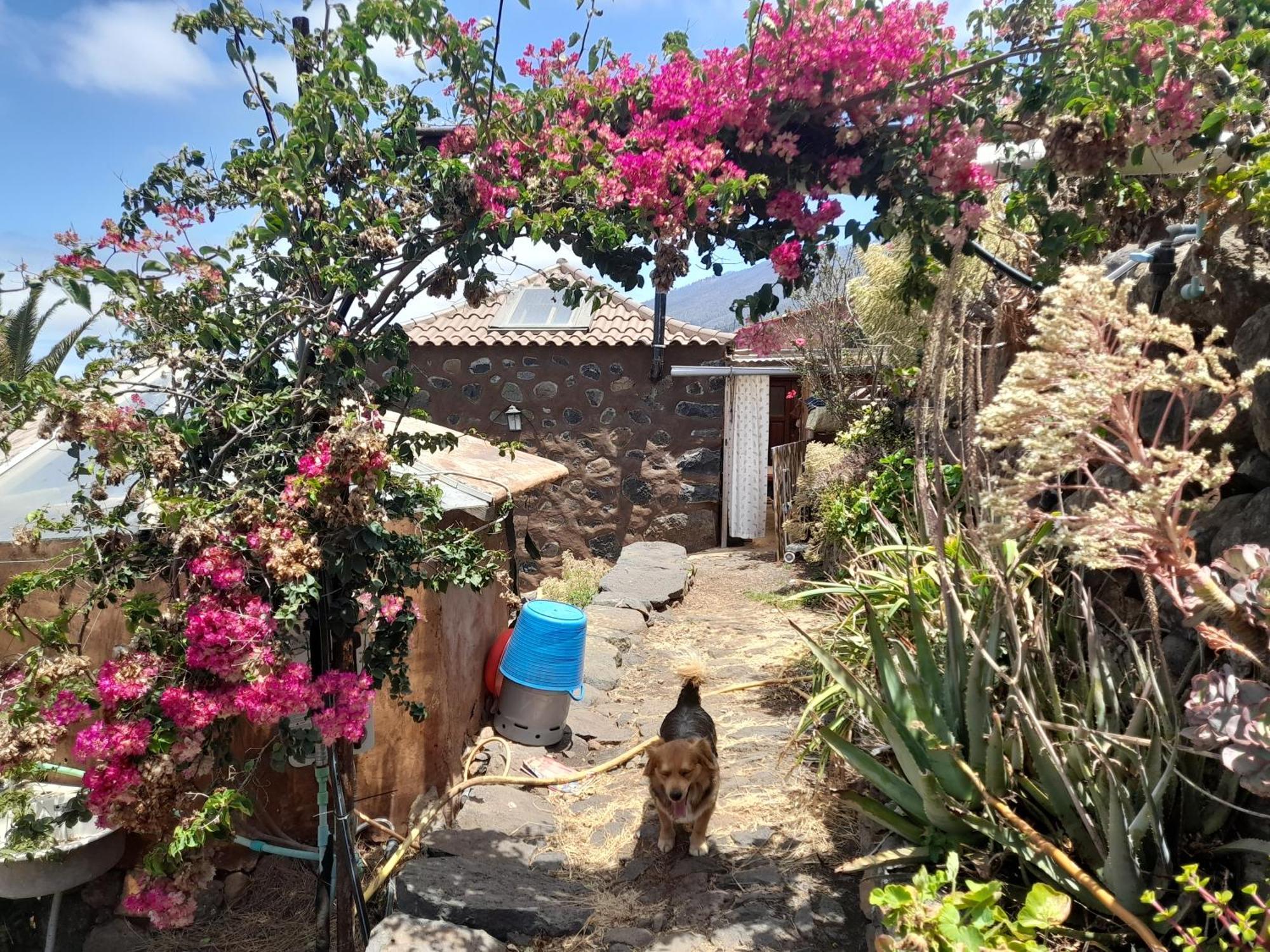 ArecidaAbracaribes住宿加早餐旅馆 外观 照片