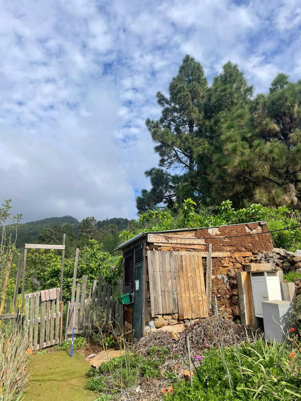 ArecidaAbracaribes住宿加早餐旅馆 外观 照片